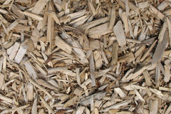 biomass boilers Market Rasen
